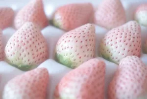 Tienda fruta a domicilio Madrid Fresa alma blanca Pinberry unidad