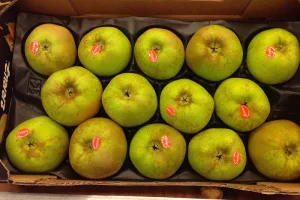 fruta a domicilio madrid manzana de reineta