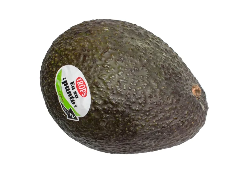 Aguacate