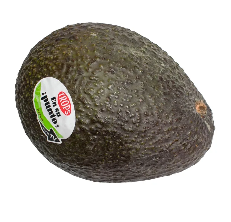 Aguacate