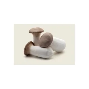 Boletus Cultivados Tienda verdura a domicilio Madrid