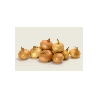 Cebollas Francesas Tienda verdura a domicilio Madrid