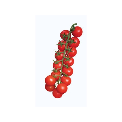 Tomate Cherry en Rama Tienda verdura a domicilio Madrid