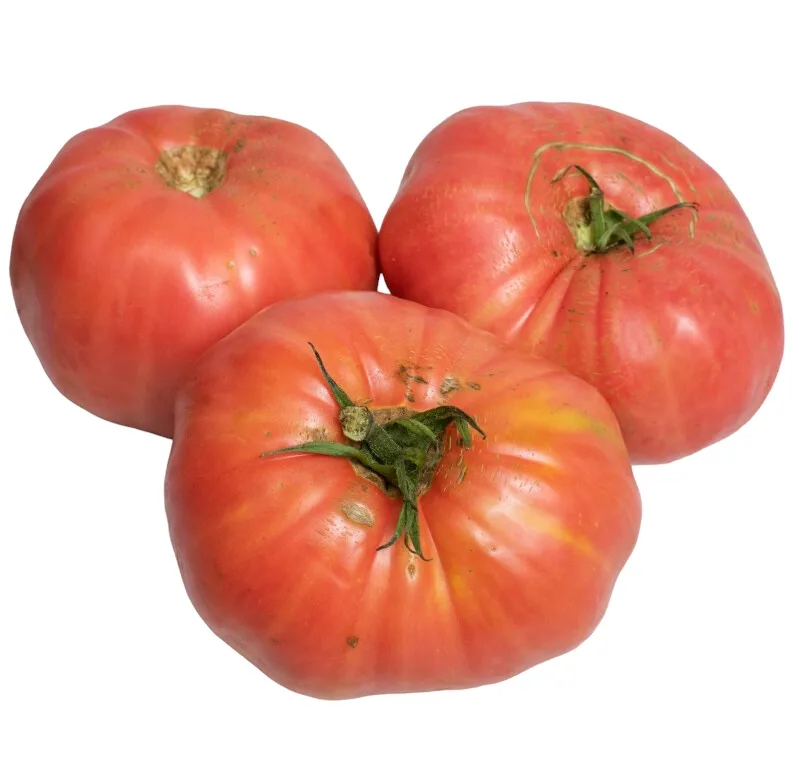 Tomate rosa