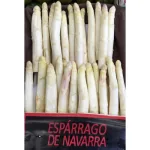 Esparrago blanco