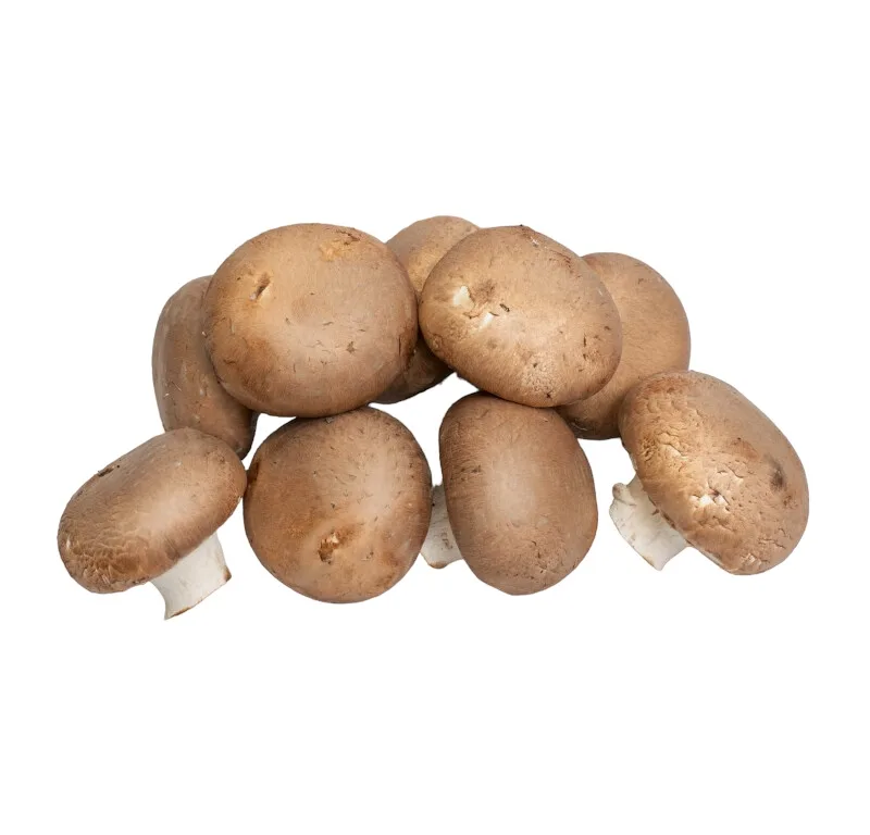 Champiñon Portobello