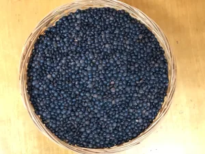 Lenteja beluga caviar