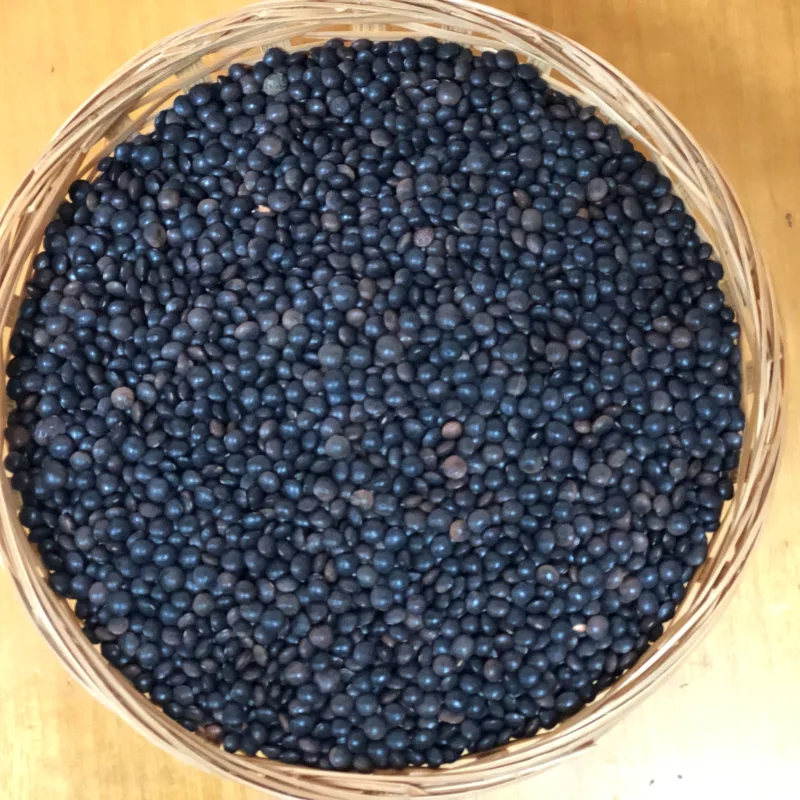 Lenteja beluga caviar