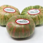 Tomate cherokee