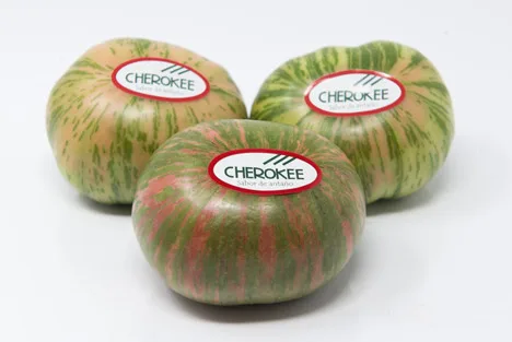 Tomate cherokee